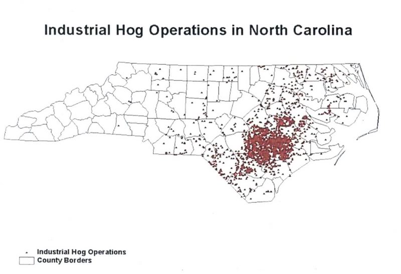 Vigil targets N.C. hog waste pollution | Facing South