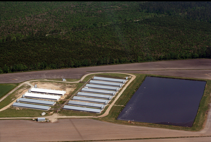 nc-hog-farm-threatened-with-citizen-lawsuit-over-water-pollution