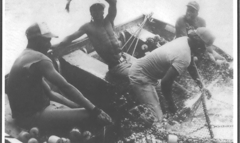 Four black fisherman in a dingy, reaching for traps, one holding up a cratfish