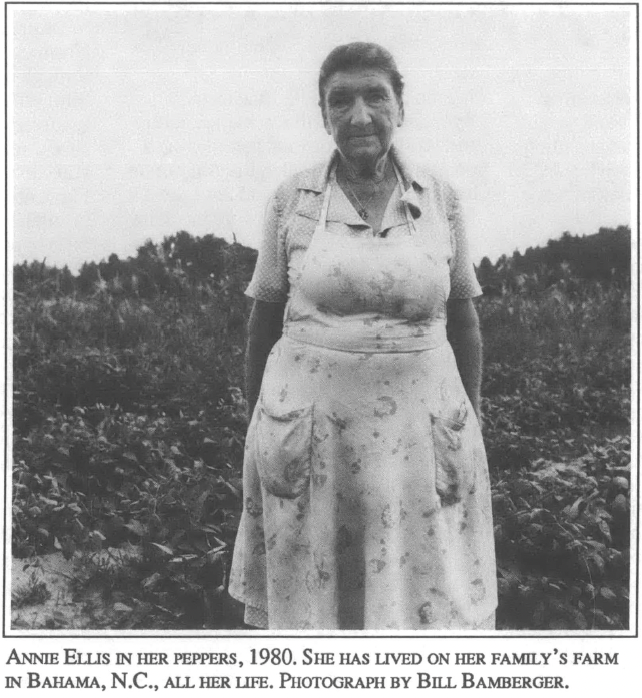 Older white woman in apron and collared shirt standing in front of a field