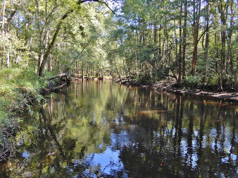 Lumber River